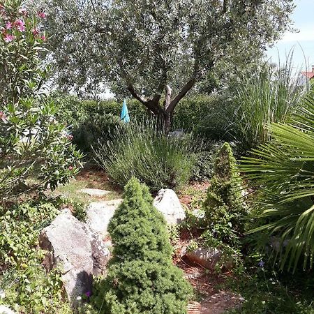 Ana Marija Apartments Poreč Eksteriør bilde