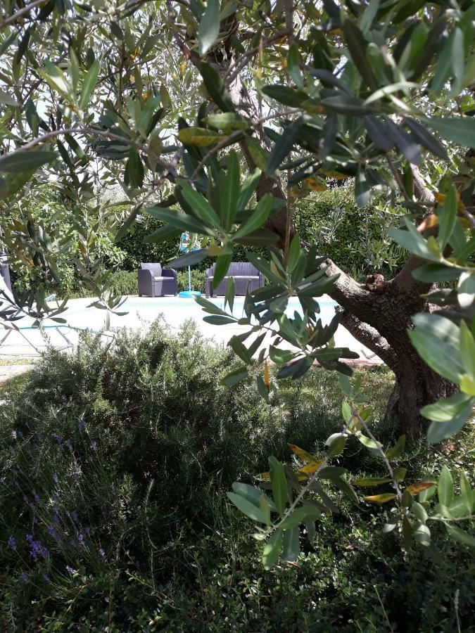 Ana Marija Apartments Poreč Eksteriør bilde