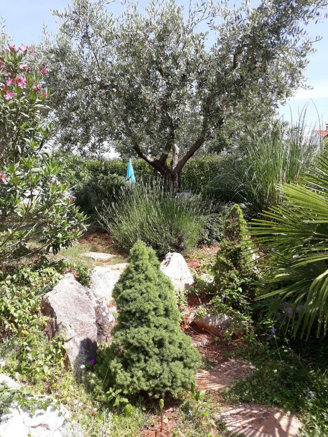 Ana Marija Apartments Poreč Eksteriør bilde